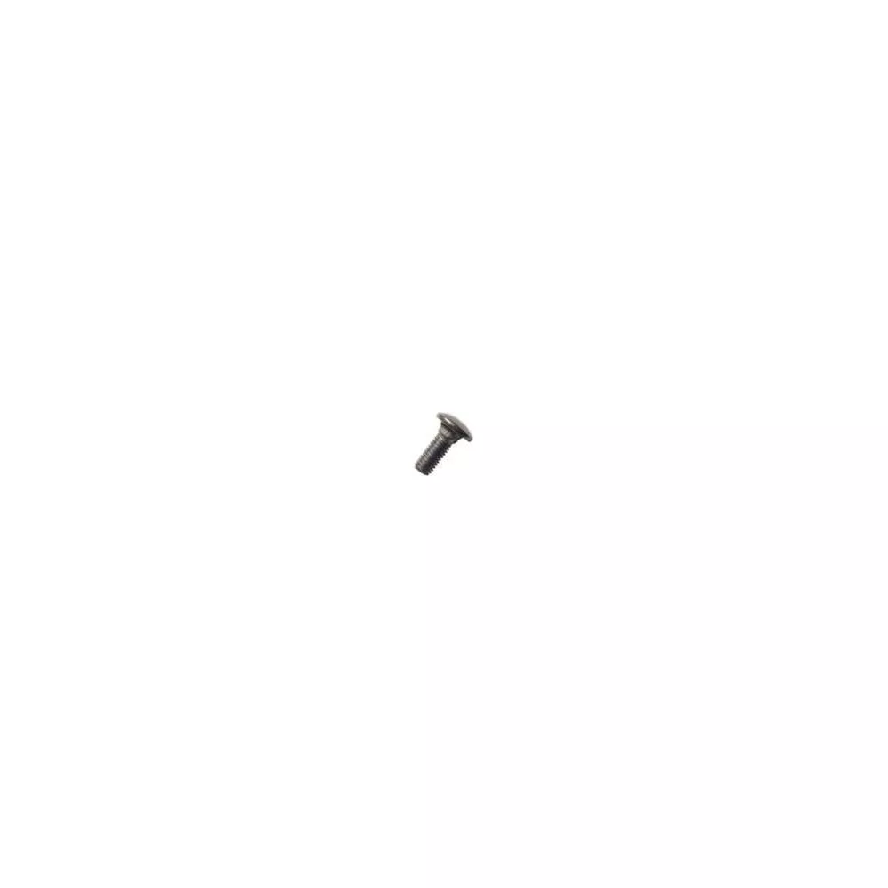 1/2-13 x 1 CARRIAGE BOLT S/S