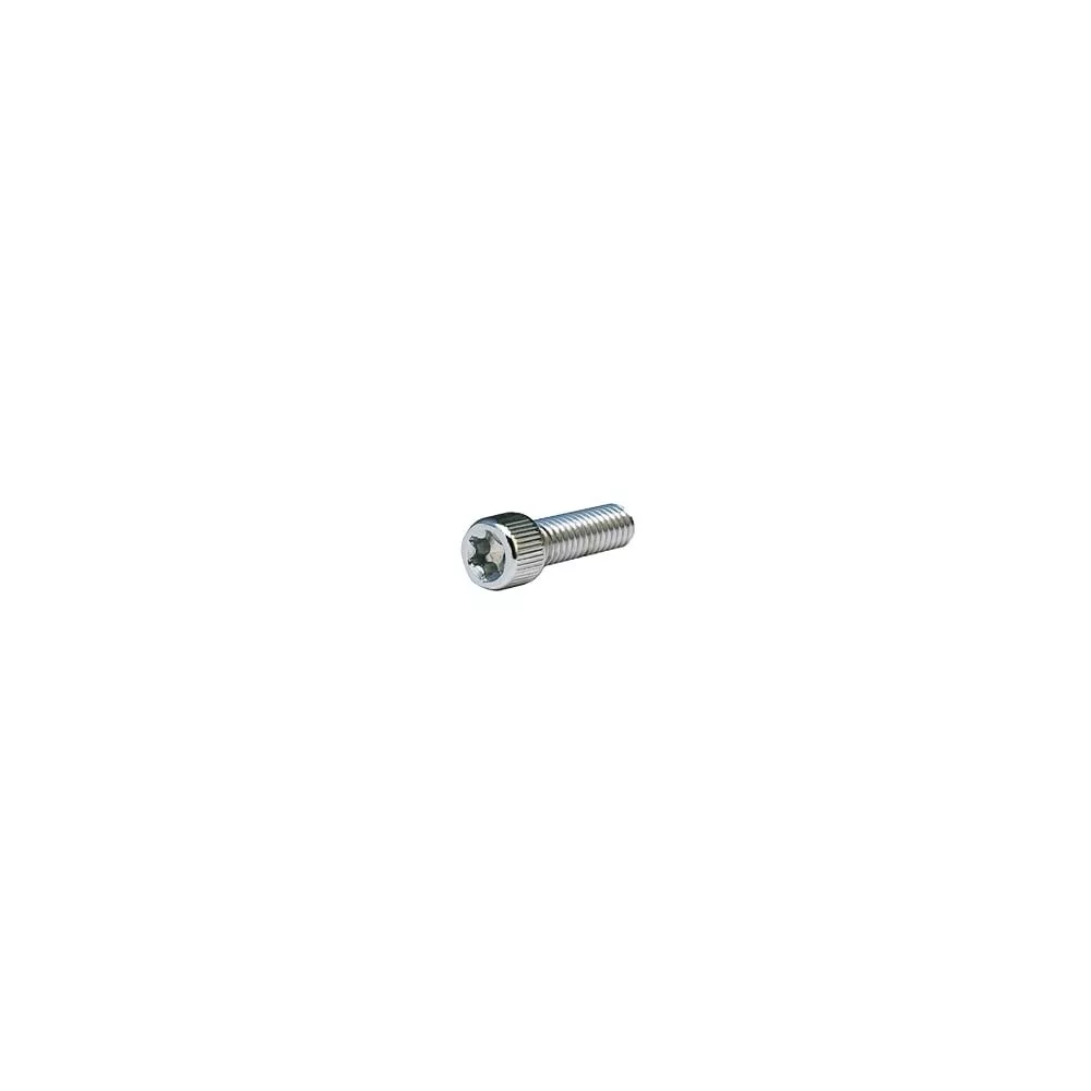 10 PC BAG CHROME 1/4-20 X 3/4 TORX SHCS