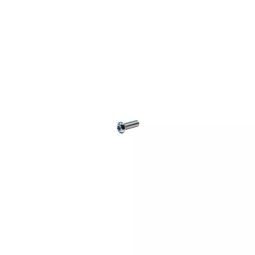 10 PC BAG CHROME 1/4-20 X 5/8TORX