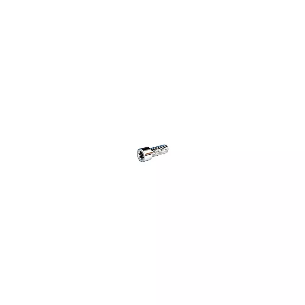 10 PC BAG CHROME 1/4-28 X 1 TORX SHCS S