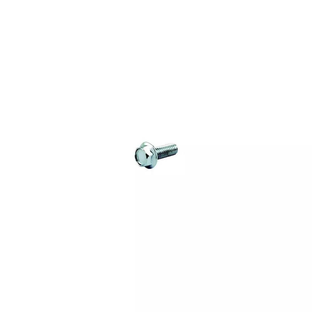 10 PC BAG CHROME 3/8-16 X 1 FLANGE