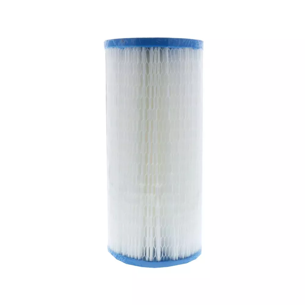 10" x 4-1/2" BB Watts Pleated - 0.35 mic (Cyst) Filter