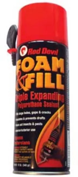 12 oz Touch N Foam Can