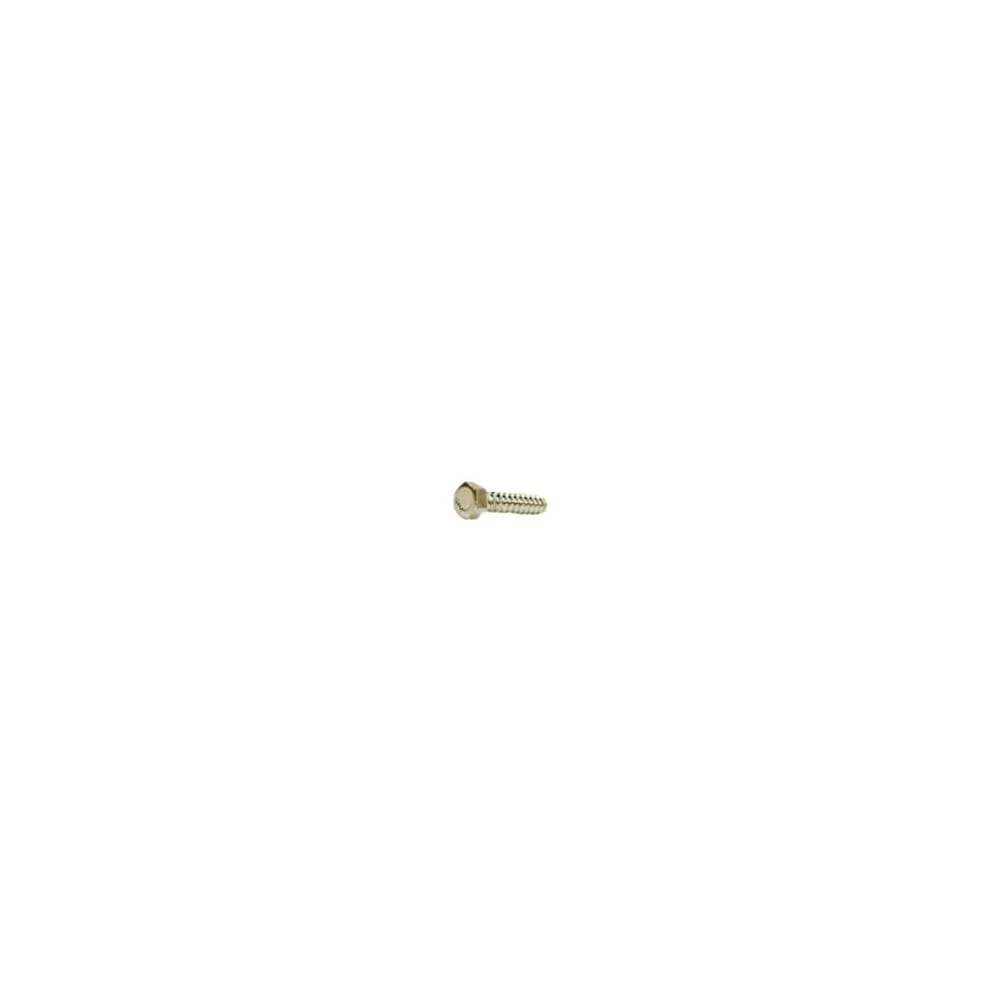 5/8"-5x4 1/2" HEX LAG SCREW ZINC CR+3