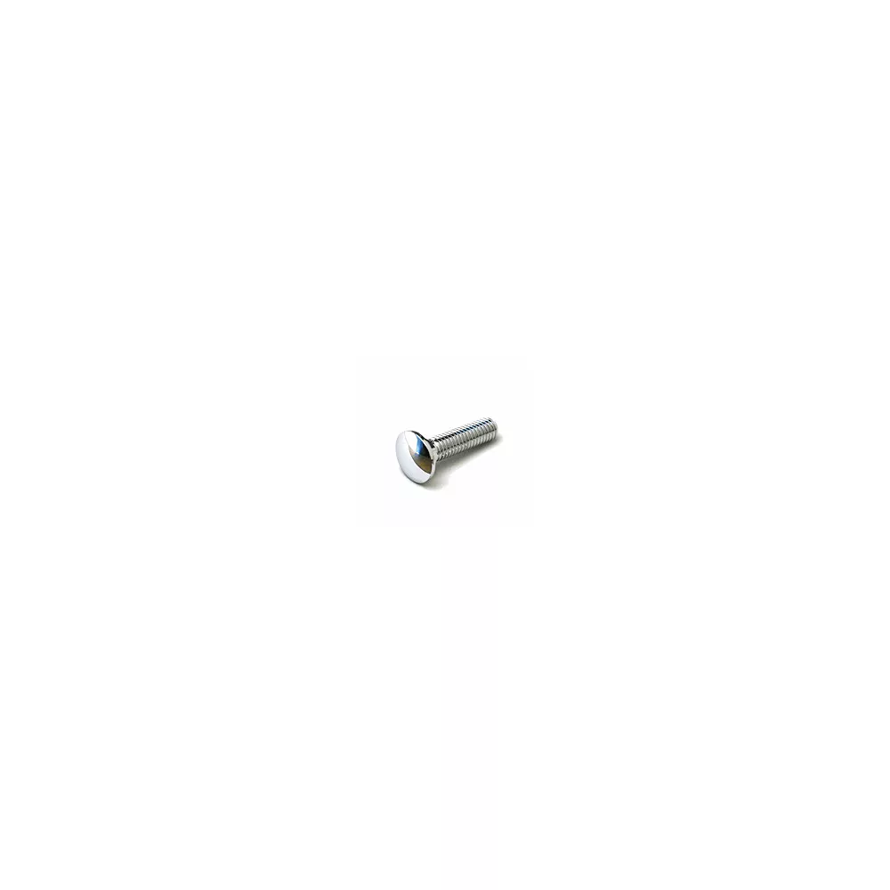5 PC BAG CHROME 1/4-20 X 1 CARRIAGE