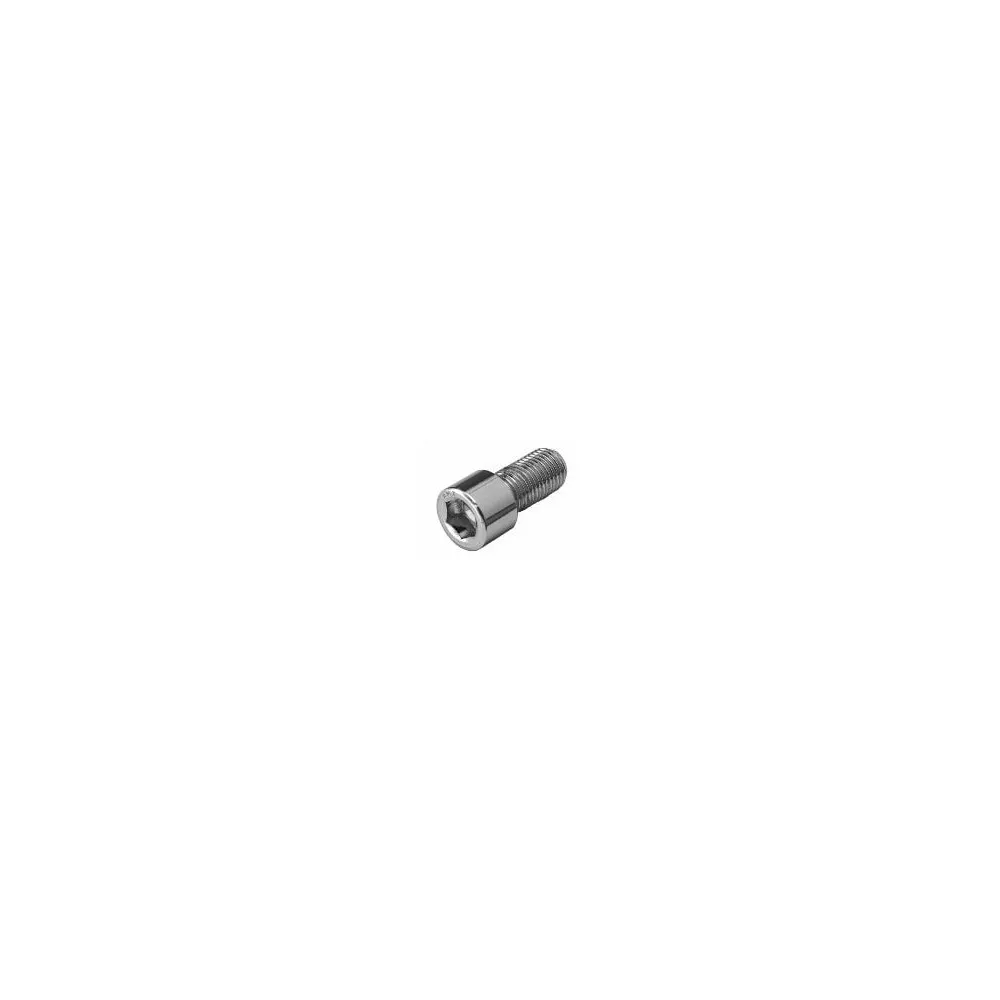 5 PC BAG CHROME 1/4-20 X 2-1/2 SHCS