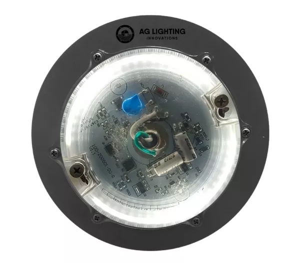 AG Lighting Innovations AG20 LED Light Fixture (5000k)
