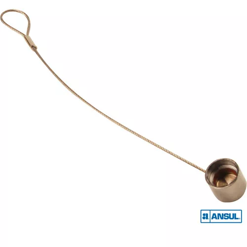 Ansul R-102 Brass and Stainless Steel Blow-Off Cap for Fire Suppression Systems (10 Pack)