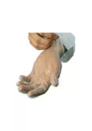 Disposable Latex Free Vinyl Gloves (100 Per Box)