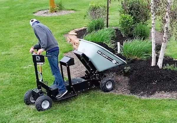 DM Cart Electric Dump Cylinder