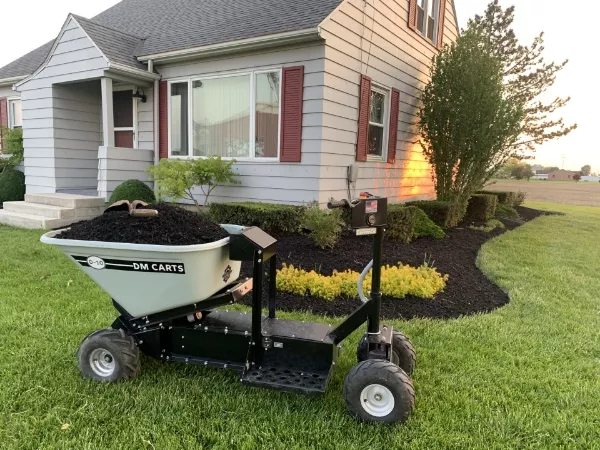 DM D-10 Cart w/ Dump