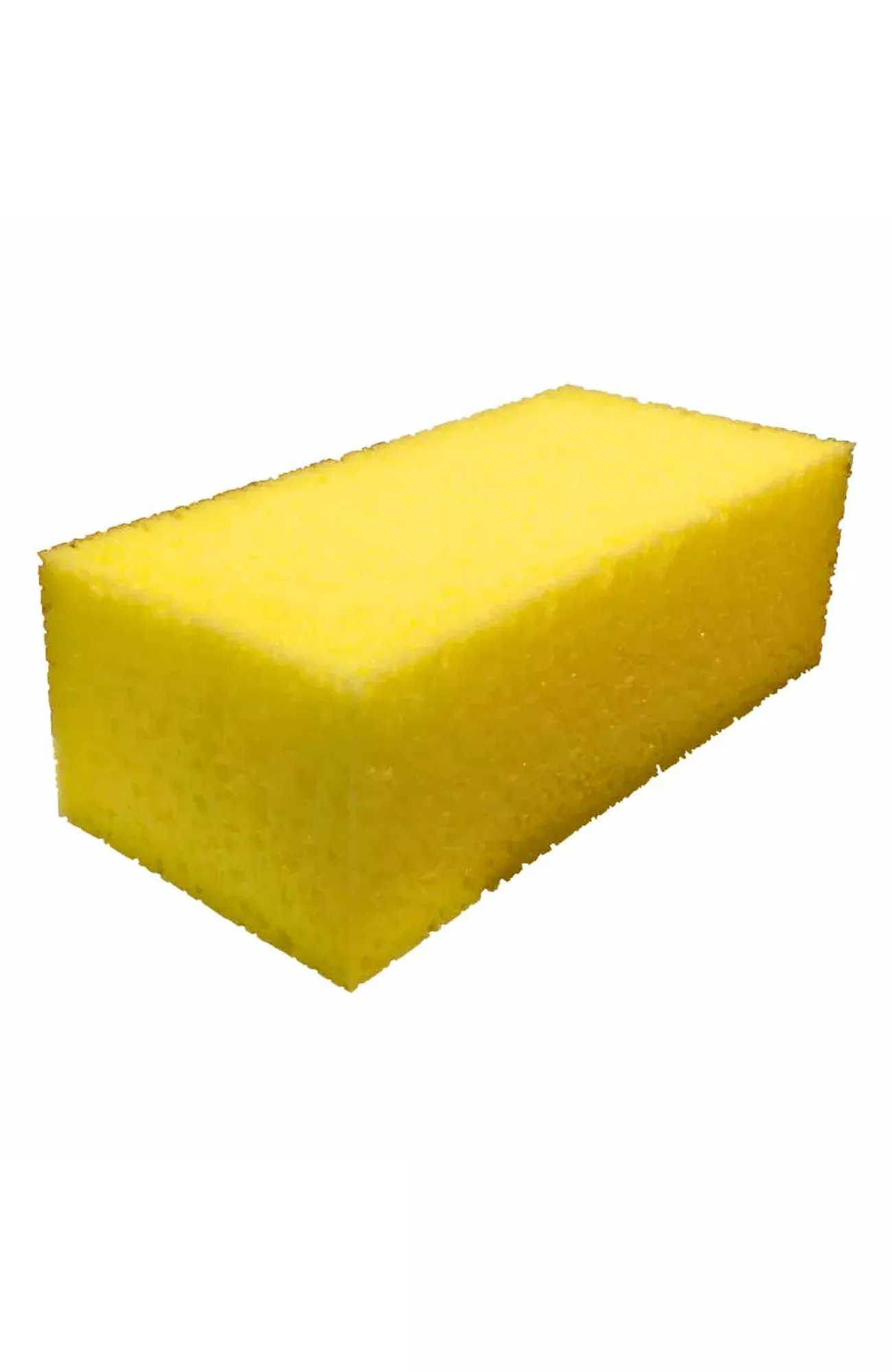 Ettore FIXI Cleaning Clamp Sponge (You Choose)