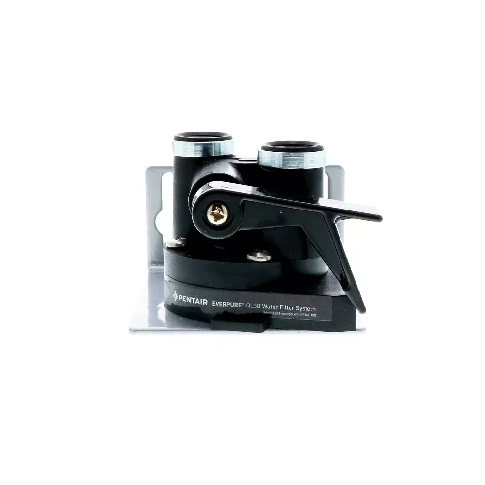 Everpure QL3B EV9259-24 Head Assy w/Shut-Off & Mounting Bracket