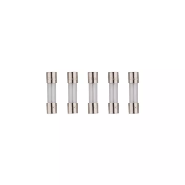 Fuse Fast-Acting 1 Amp - 5 pack