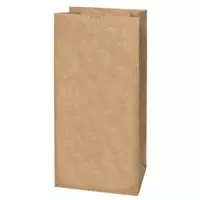 LAWN&LEAF BAG 2-PLY PAPER 30GA