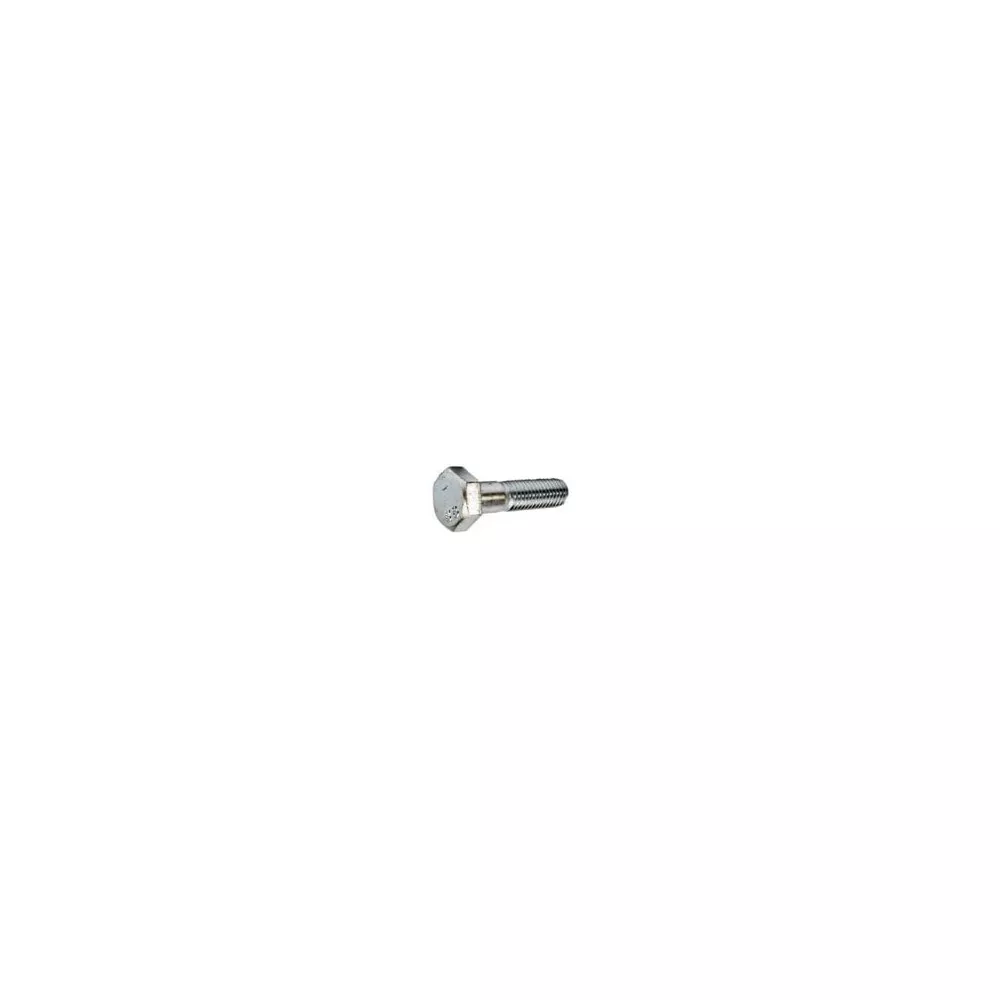 M20-2.5 x 110 HEX CAP SCREW 8.8 DIN