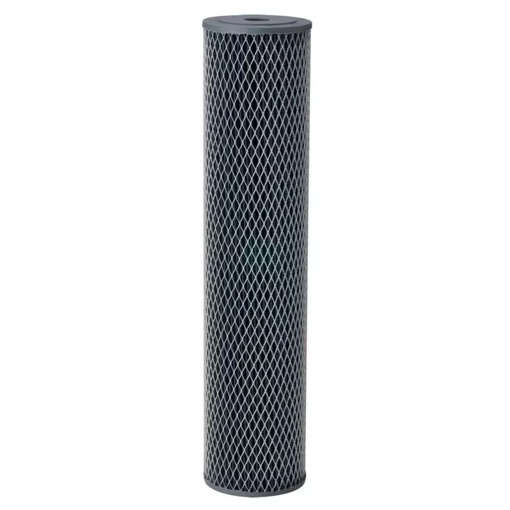 Pentek 155397-43 NCP-20 Carbon Impregnated Non-Cellulose Pleated 10 mic Filter