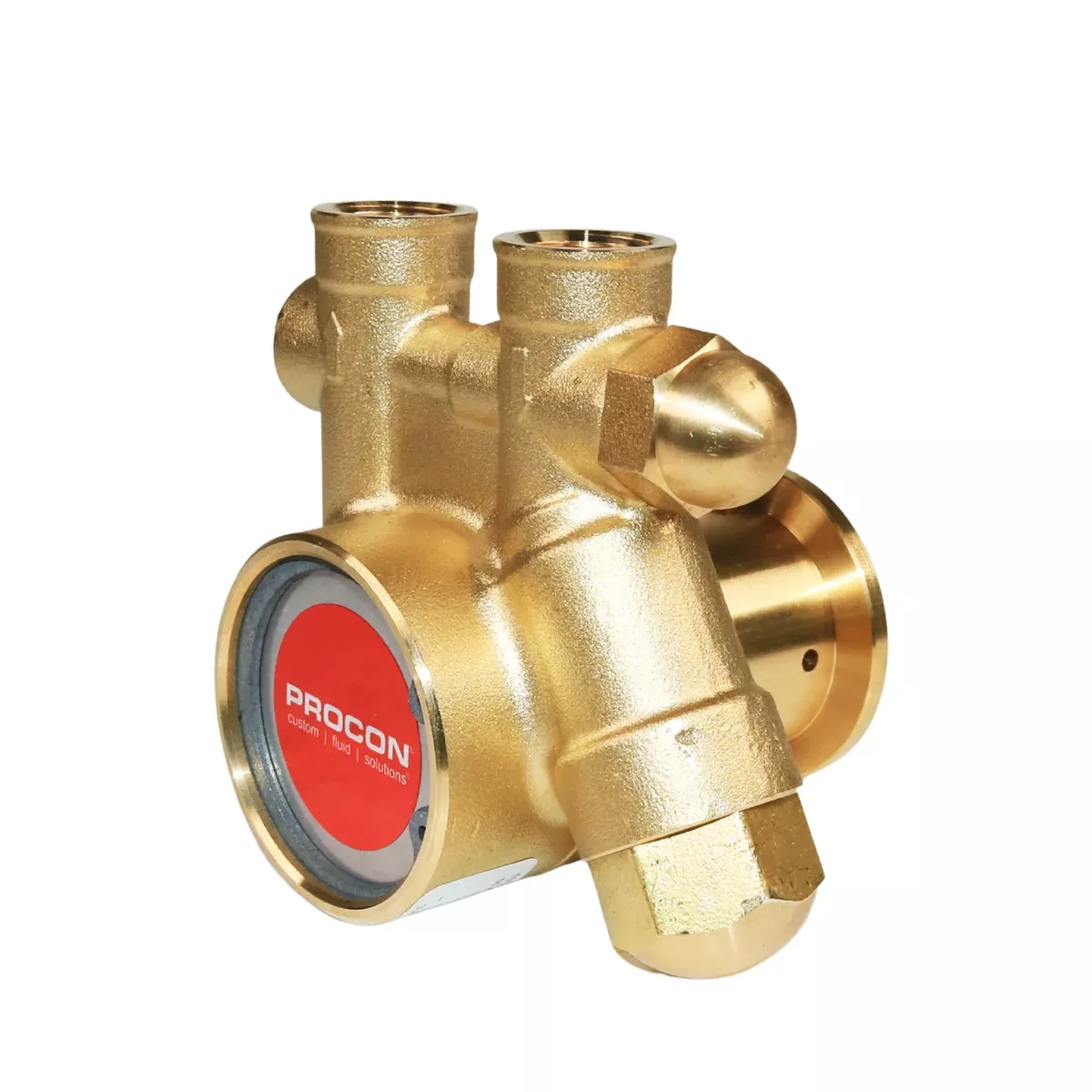 PROCON 101D100F11BD - 3/8" NPT Brass Rotary Vane Pump Series 1