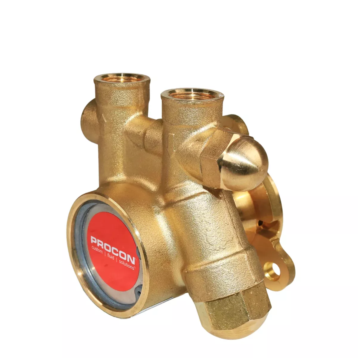 PROCON 101E125F11BA - 3/8" NPT Brass Rotary Vane Pump Series 1