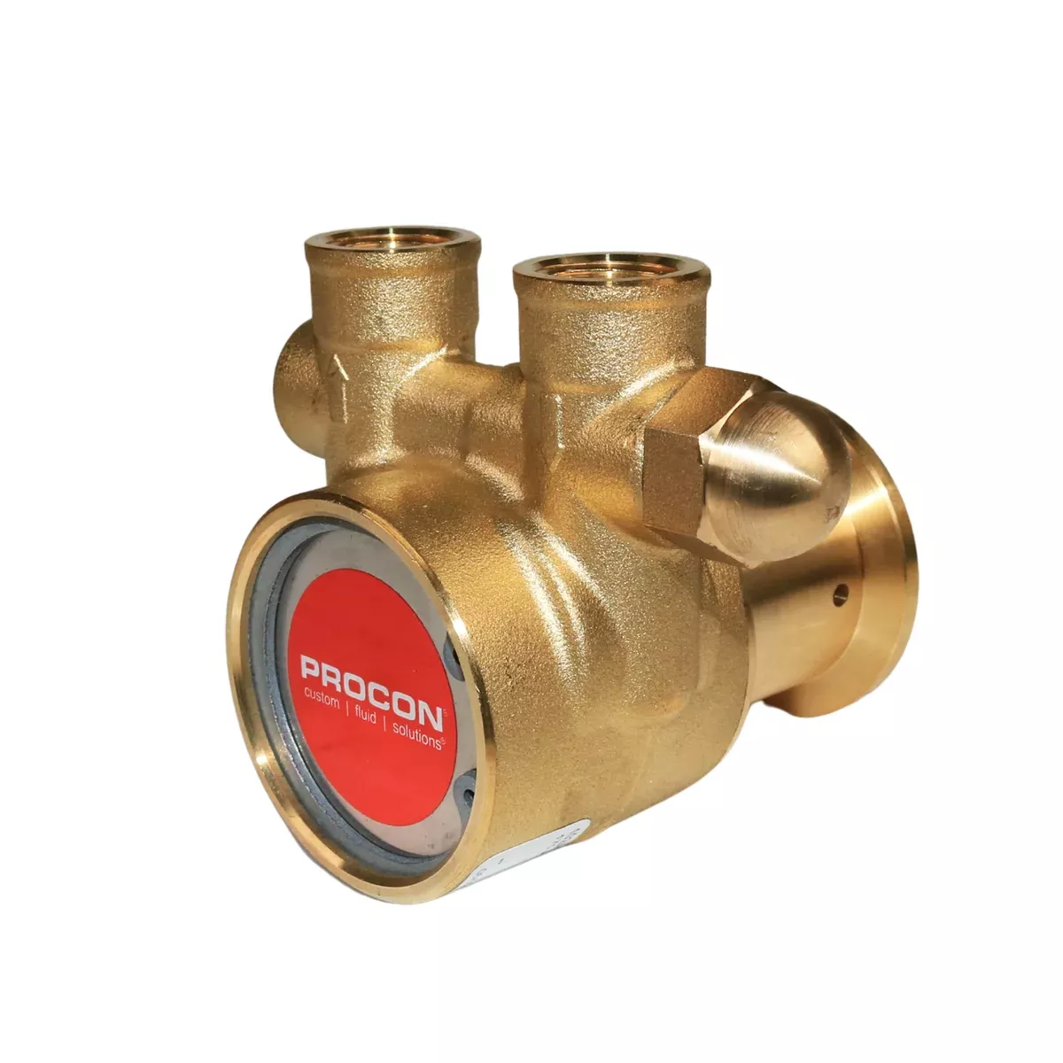 PROCON 102A080B11AA - 3/8" NPT Brass Rotary Vane Pump Series 2