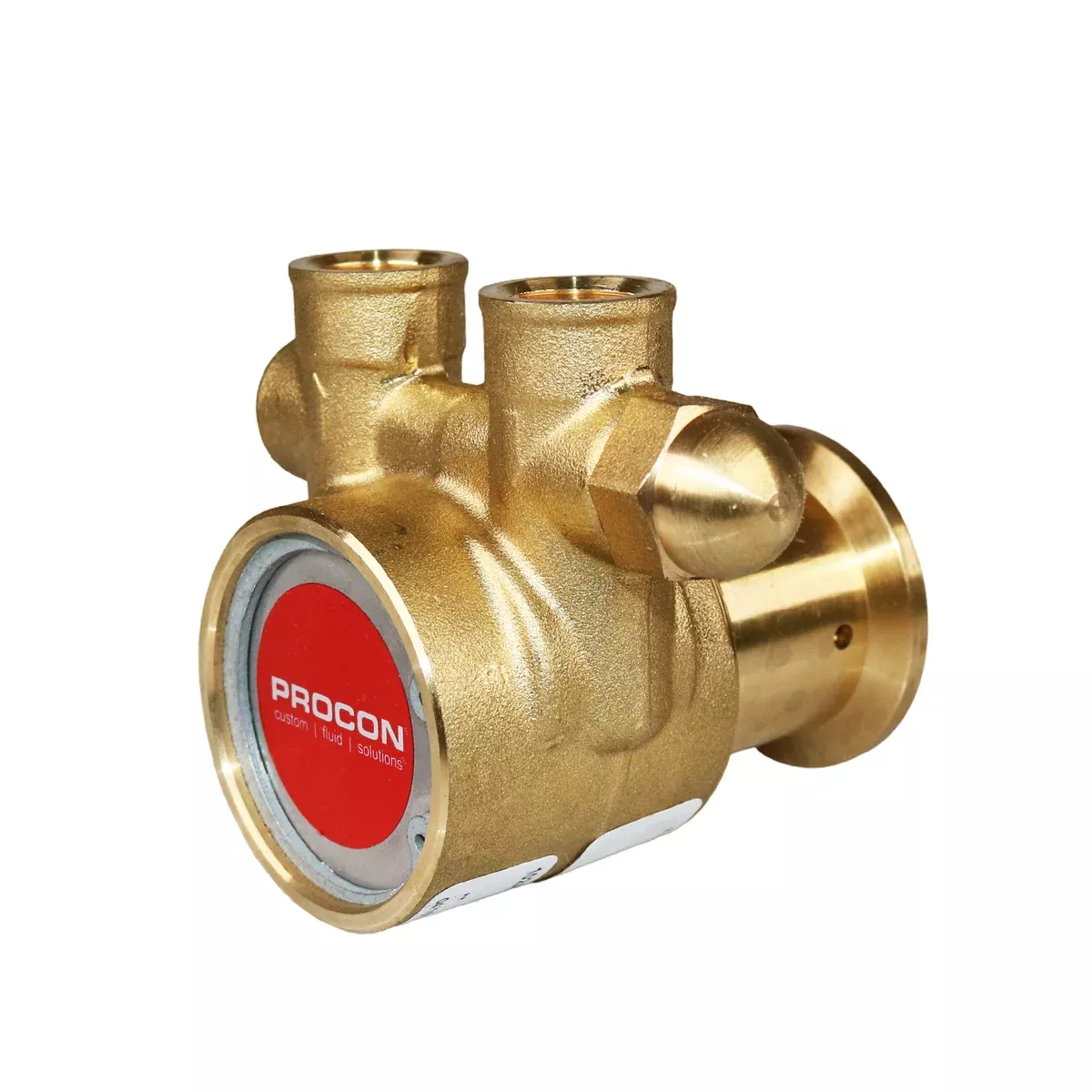 PROCON 102A140F11AA- 3/8" NPTBrass Rotary Vane Pump Series 2