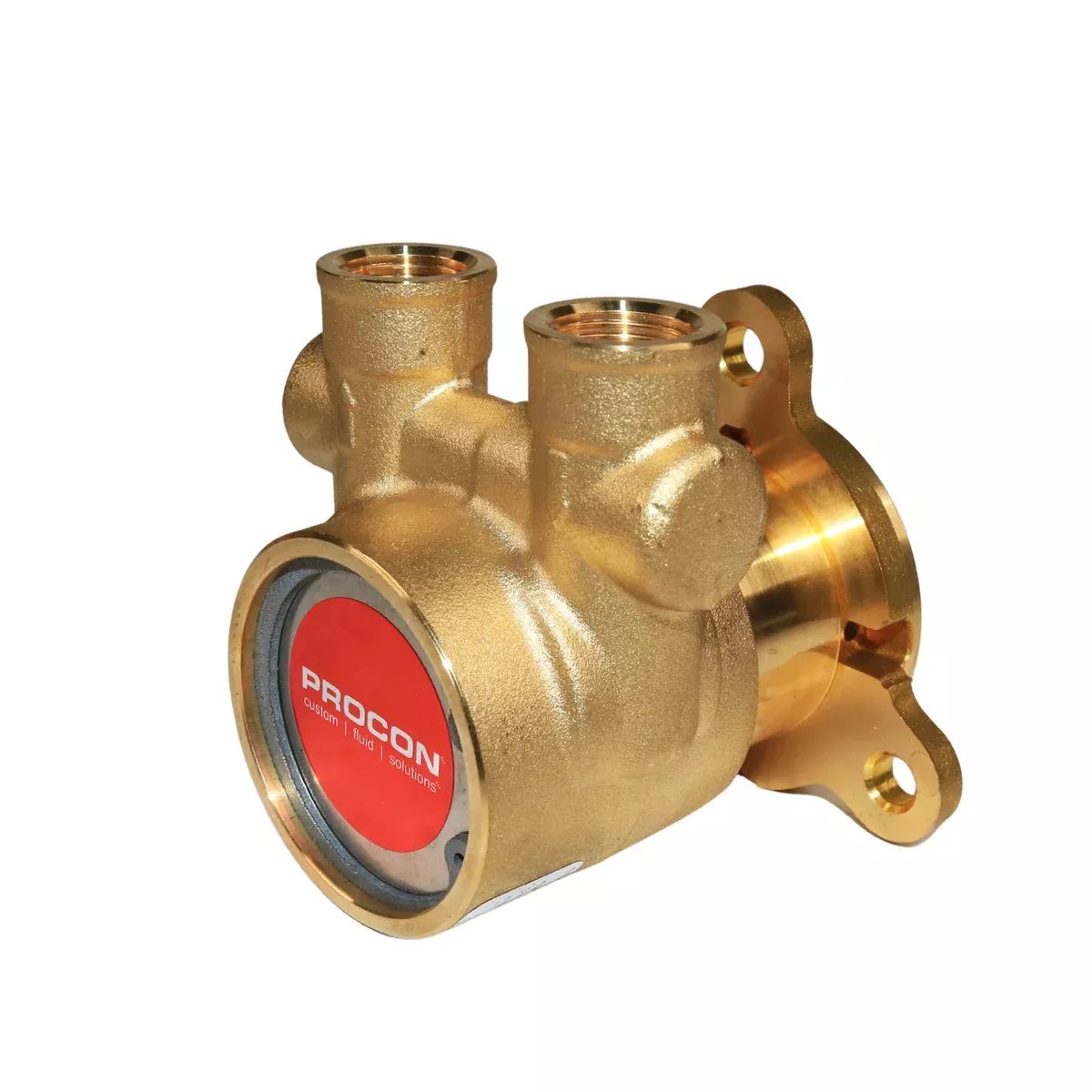 PROCON 102E100F11XX - 3/8" NPT Brass Rotary Vane Pump Series 2