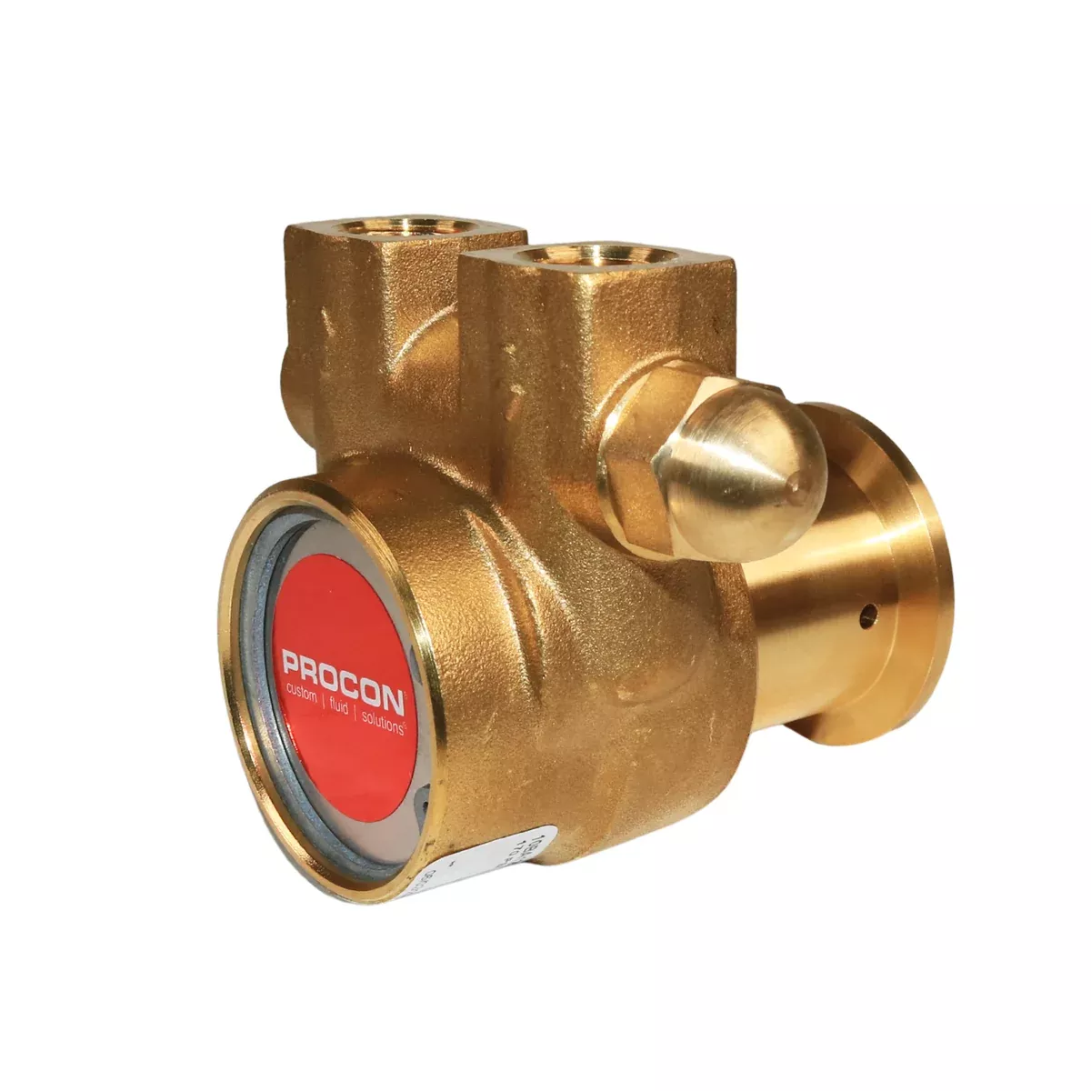 PROCON 10BA125F11AA - 3/8" G Brass Rotary Vane Pump Series 2