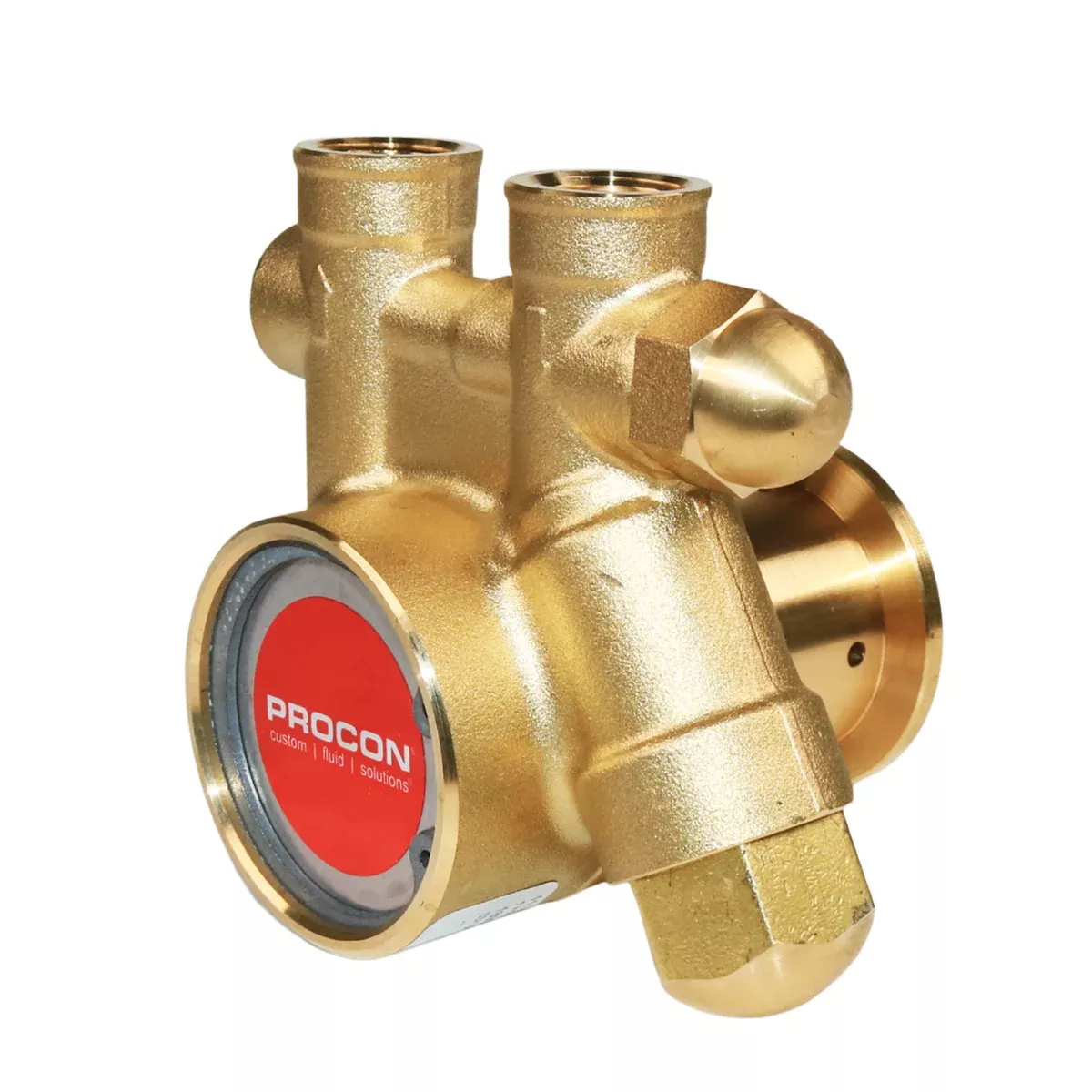 PROCON 111A050F11AA- 3/8" NPT Brass Rotary Vane Pump Series 1