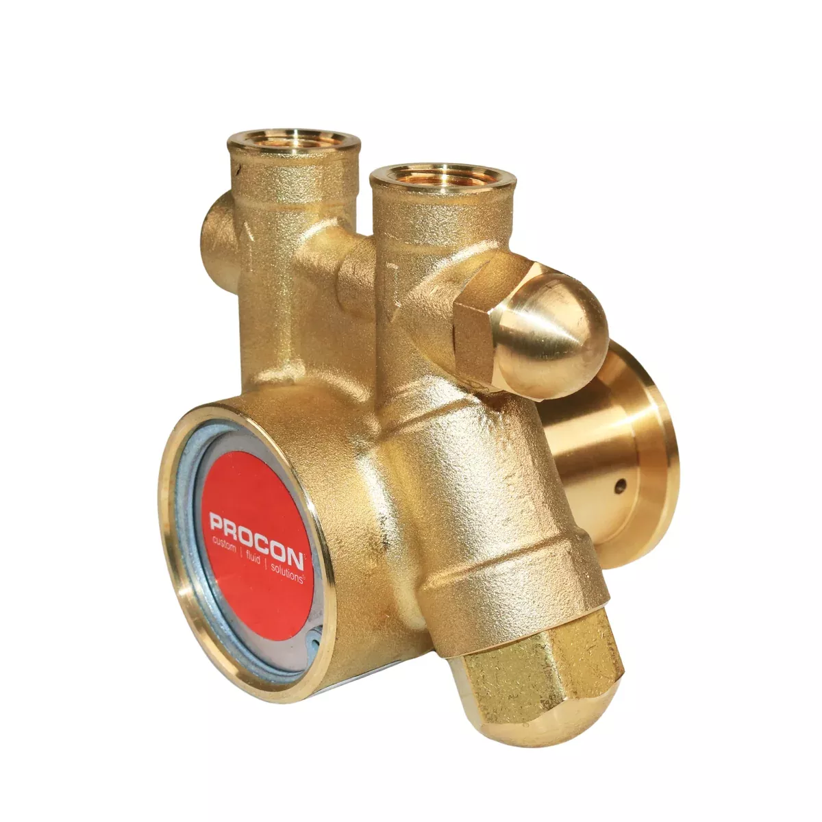 PROCON 111A125F11AA - 3/8" NPT Brass Rotary Vane Pump Series 1