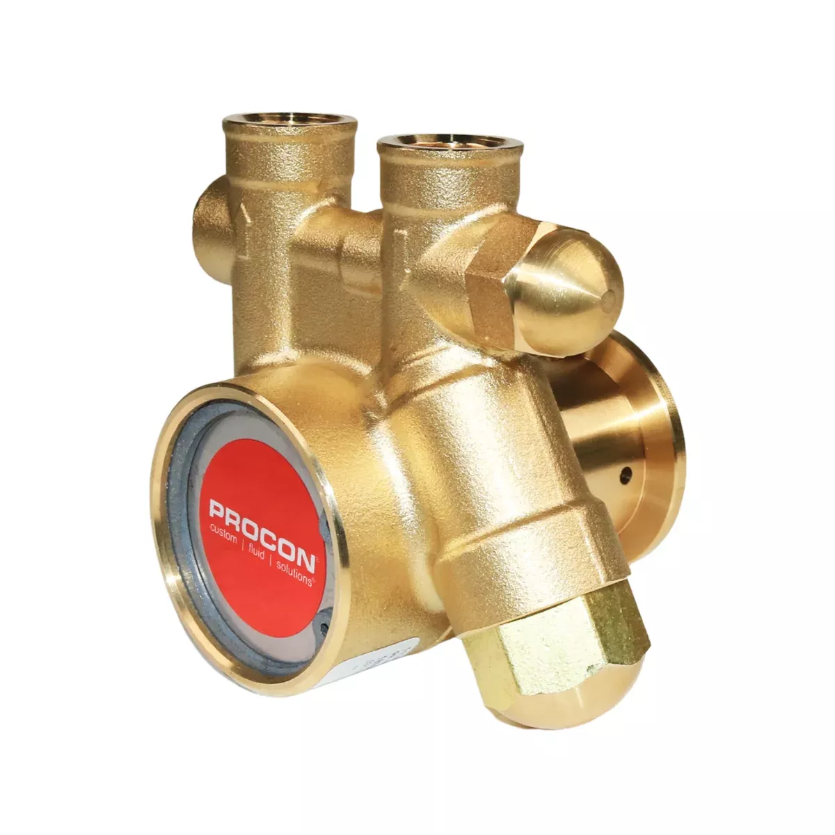 PROCON 111B100F11BC- 3/8" NPT Brass Rotary Vane Pump Series 1