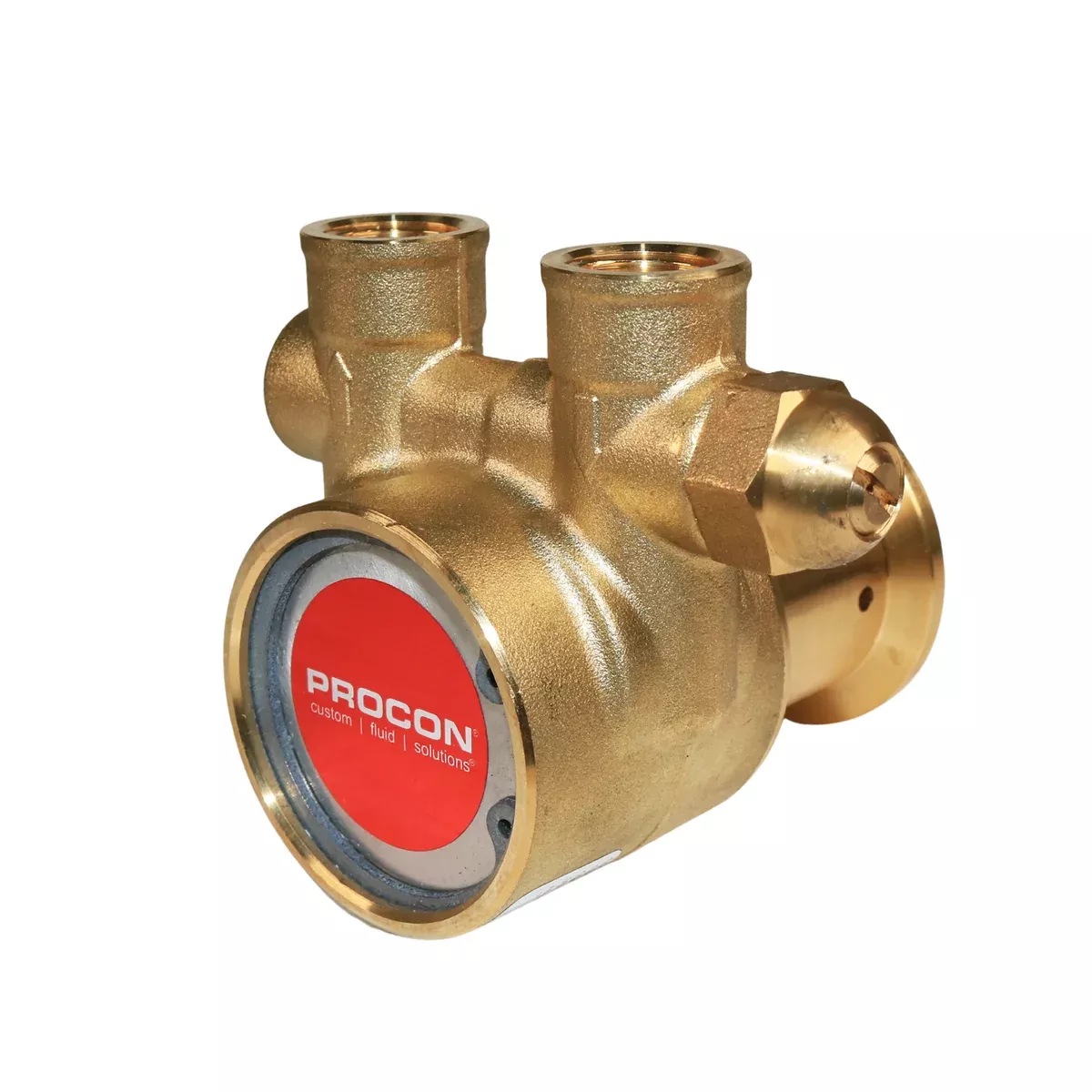 PROCON 112A015F11DB - 3/8" NPTBrass Rotary Vane Pump Series 2