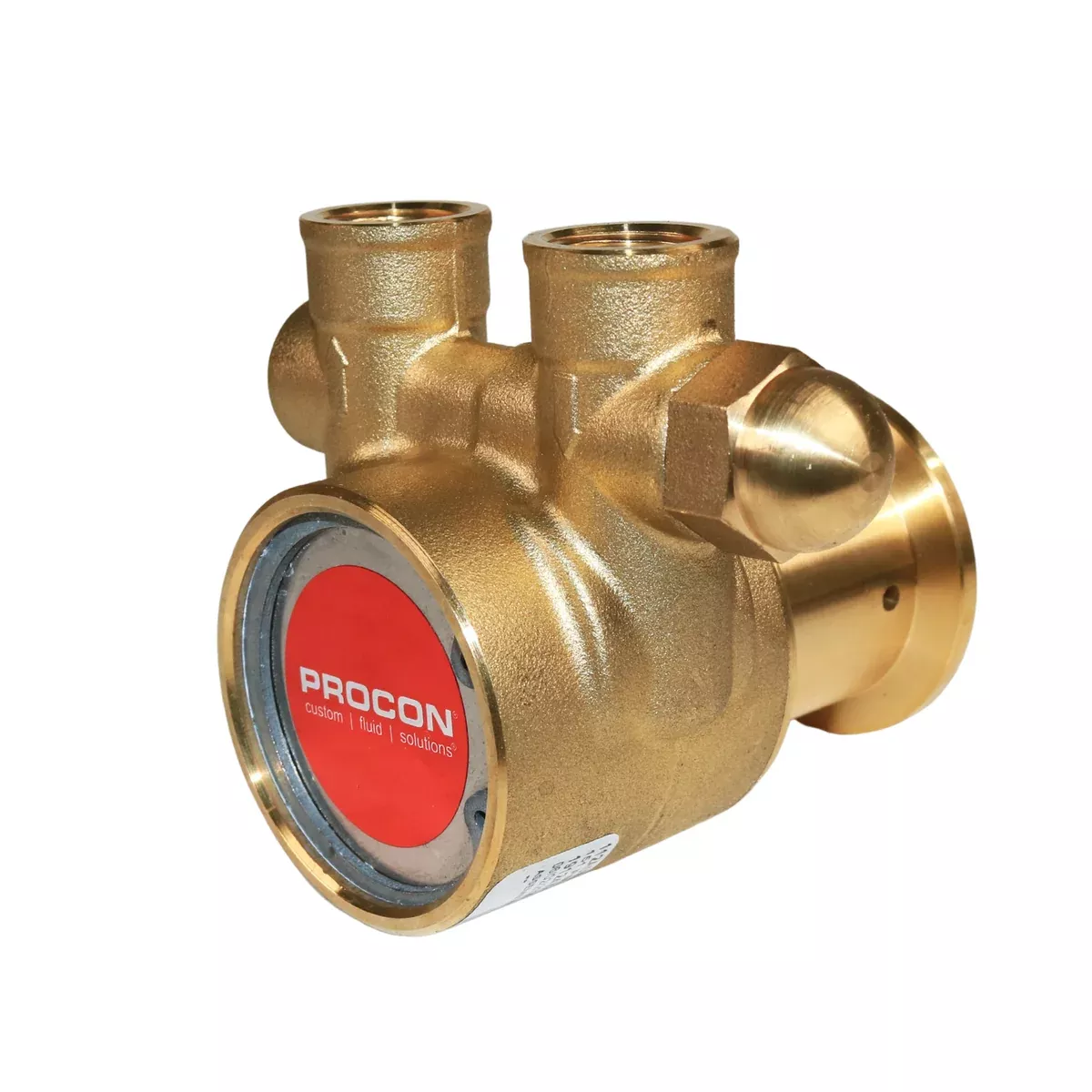 PROCON 112A070F11AA - 3/8" NPTBrass Rotary Vane Pump Series 2