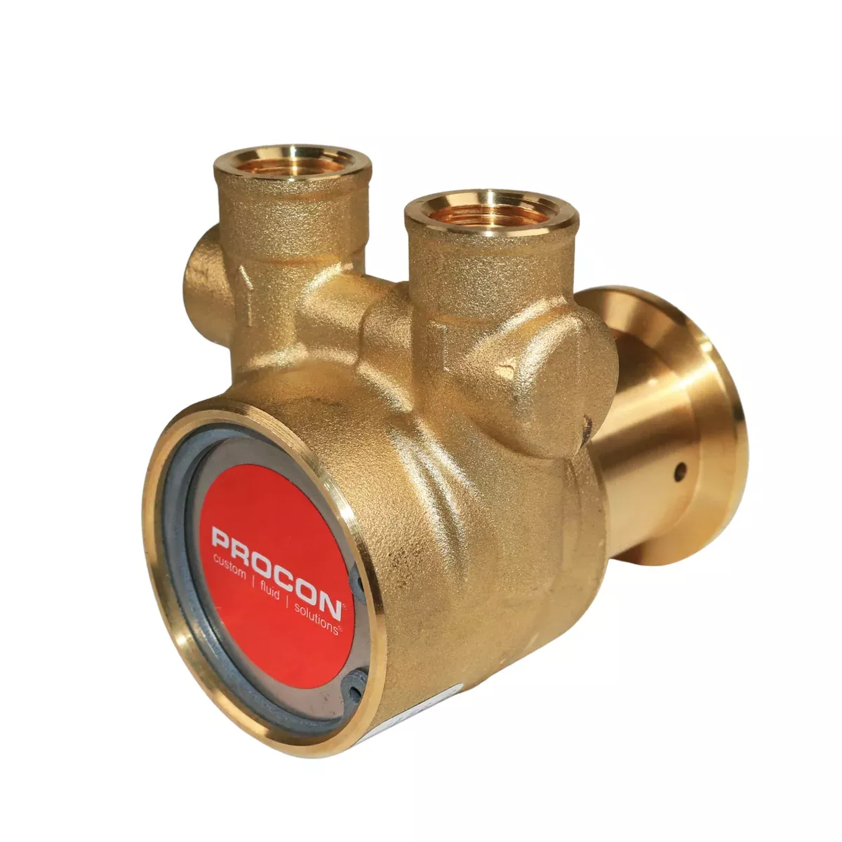 PROCON 112A080F11XX - 3/8" NPT Brass Rotary Vane Pump Series 2