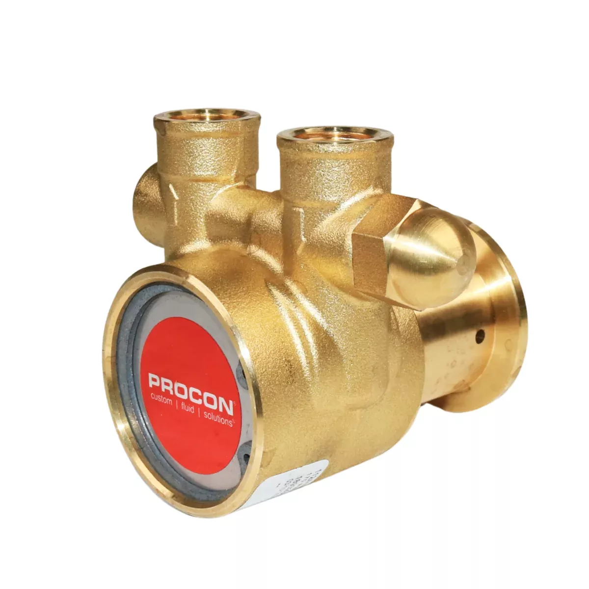 PROCON 112A100F11AA - 3/8" NPTBrass Rotary Vane Pump Series 2