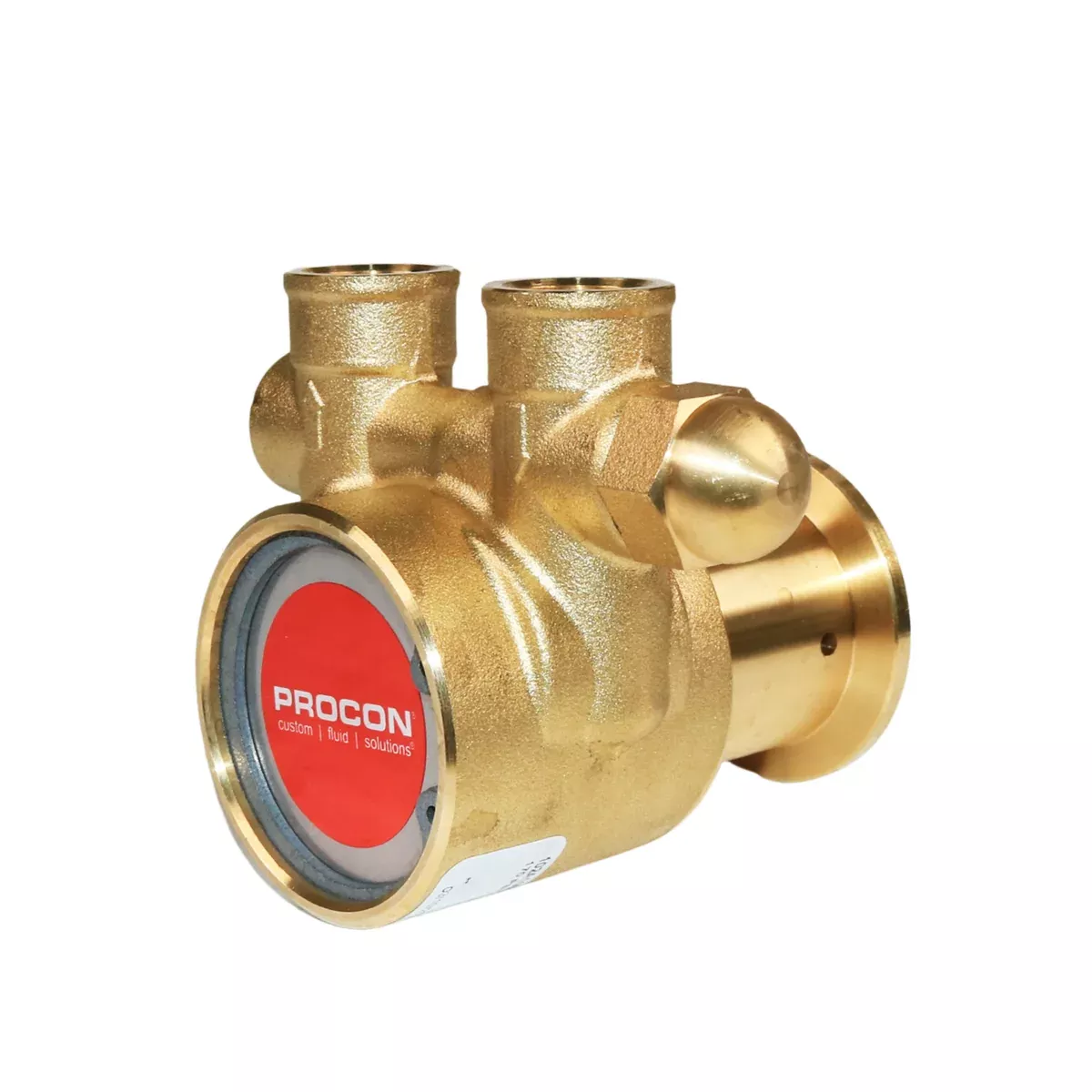 PROCON 112A100F11BA - 3/8" NPTBrass Rotary Vane Pump Series 2