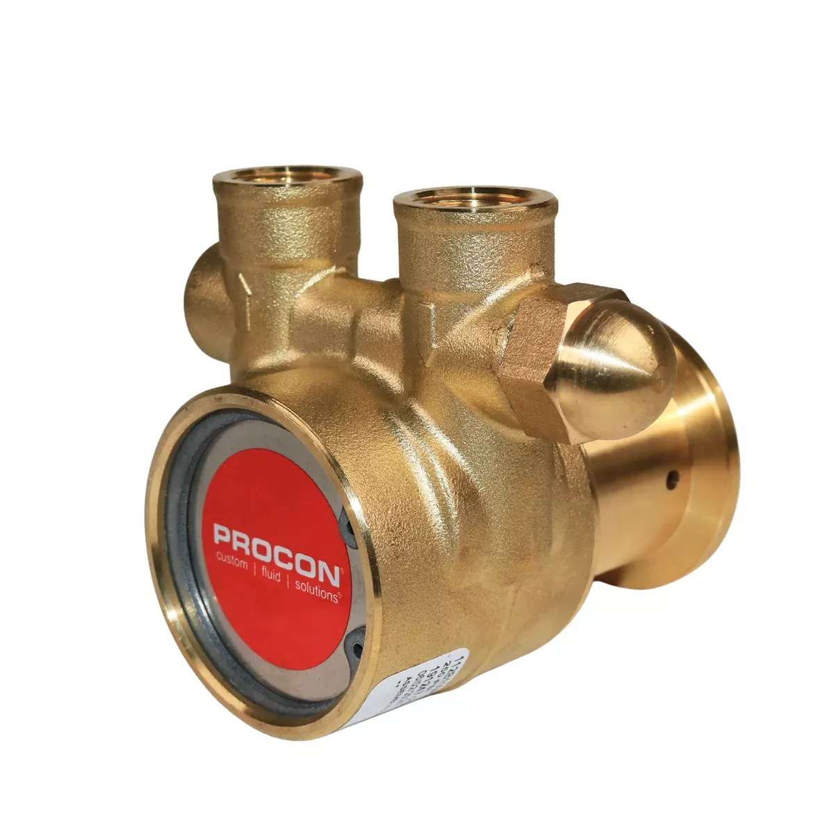 PROCON 112B100F11AA - 3/8" NPTBrass Rotary Vane Pump Series 2