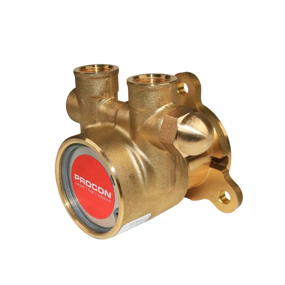 PROCON 112E100F11BA - 3/8" NPTBrass Rotary Vane Pump Series 2
