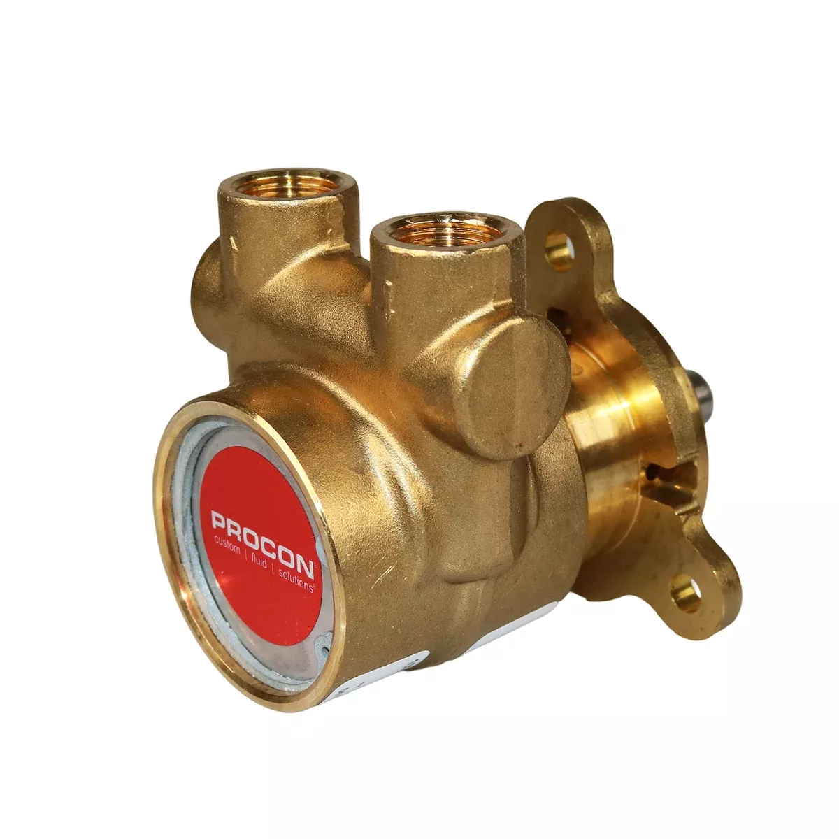 PROCON 112E125F11XX - 3/8" NPTBrass Rotary Vane Pump Series 2