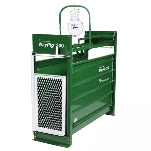 WayPig 300 Market Hog Scale (Stationary)